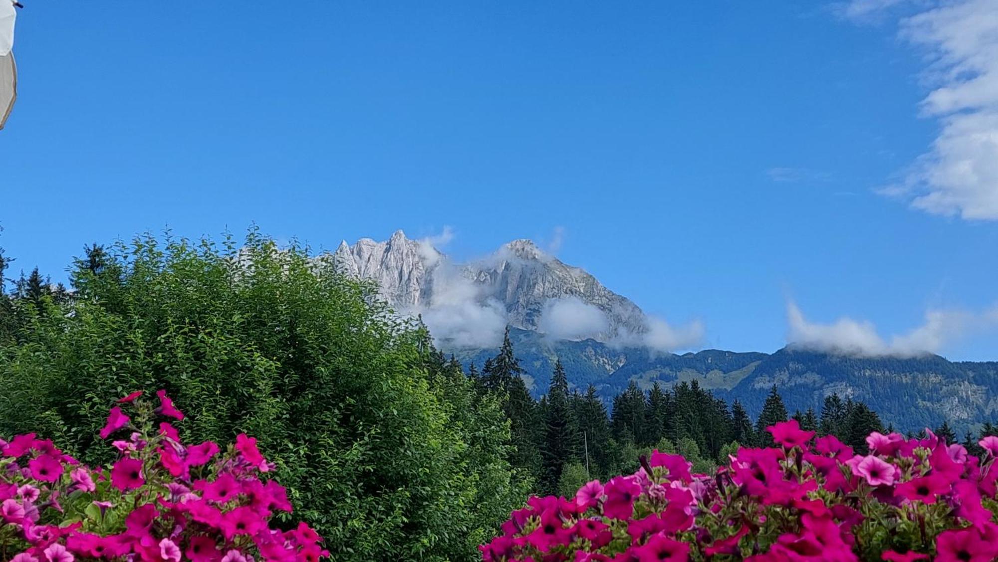 Gartenhotel Rosenhof bei Kitzbühel Oberndorf in Tirol Exterior foto